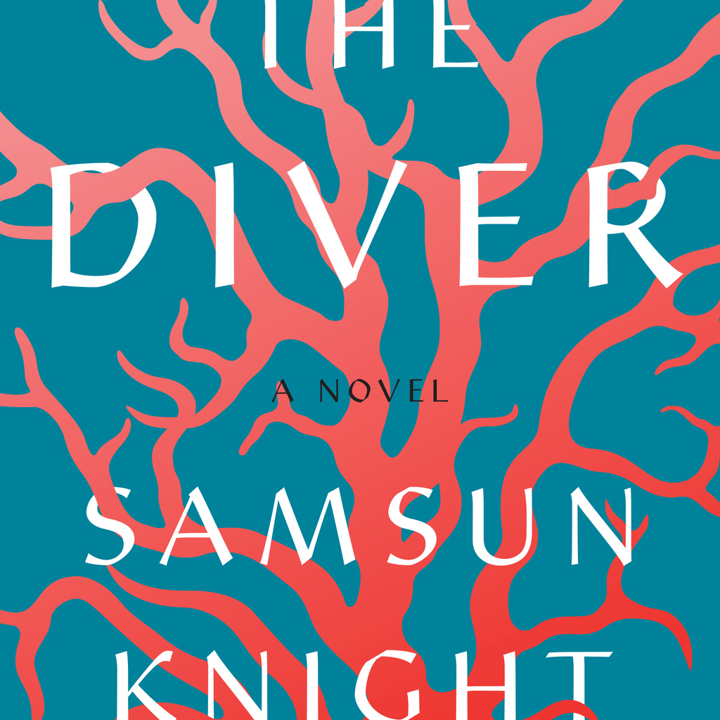 the diver book cover