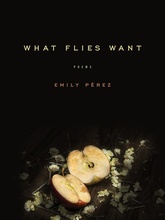 what flies want cover