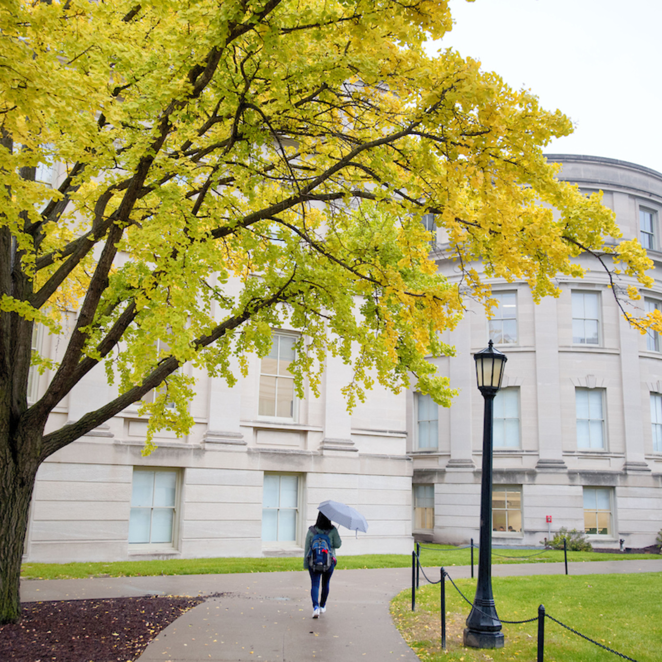 the pentacrest in autumn
