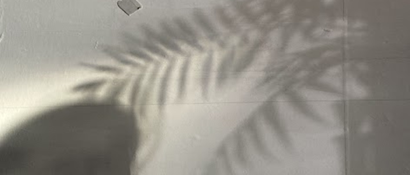 shadows on a wall