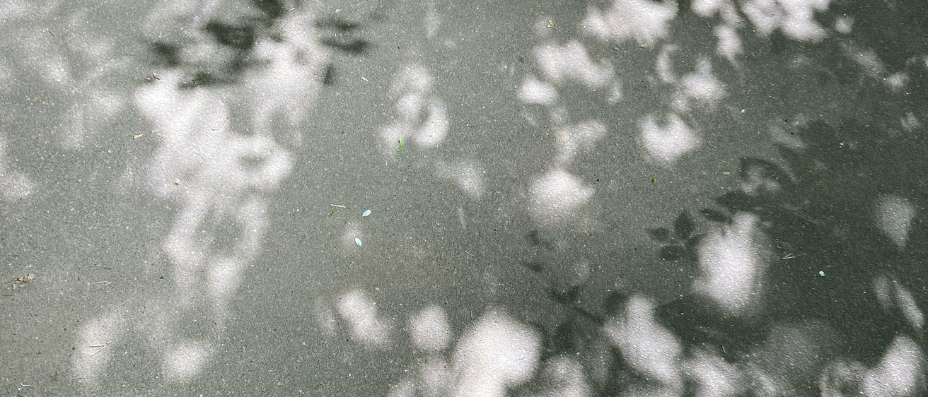 sunlight on a sidewalk