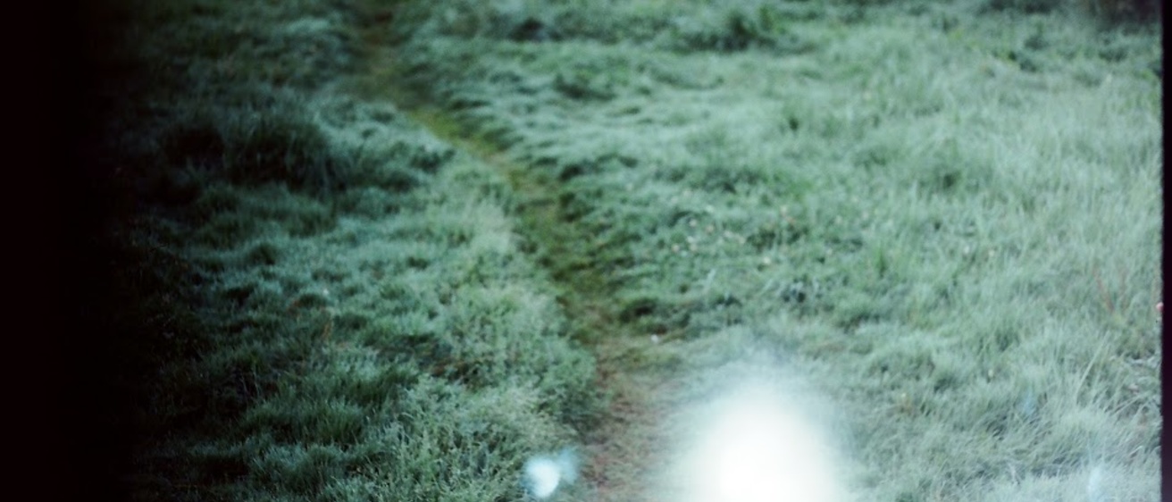 trail through dew