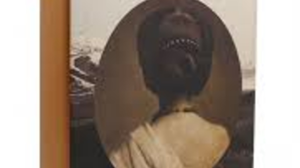 sontag in america