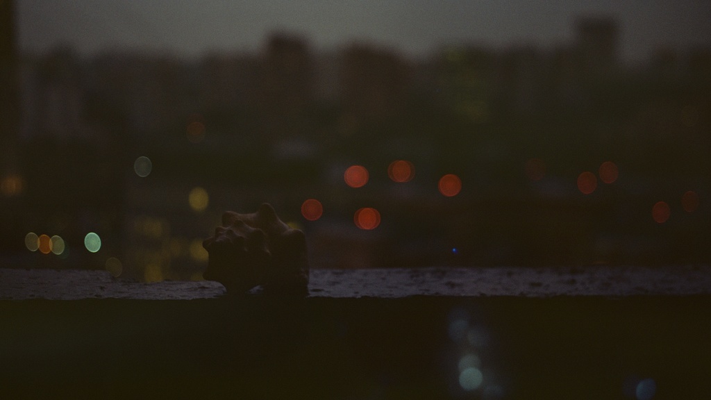 Dark and moody photo of landscape.