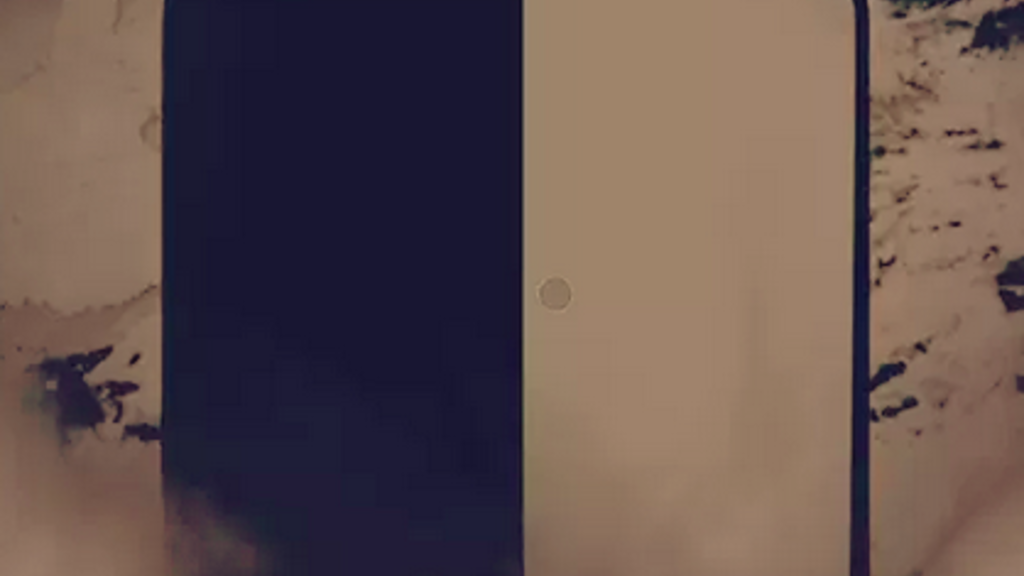 cover of wilder things