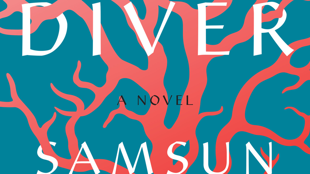 the diver book cover